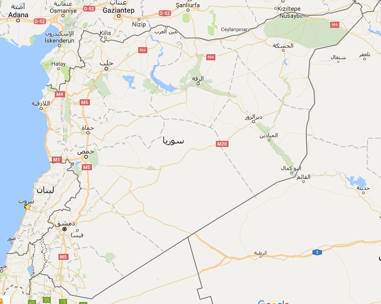 لاجئة فلسطينية تقضي بكمين للنظام أثناء محاولتها الوصول إلى تركيا 