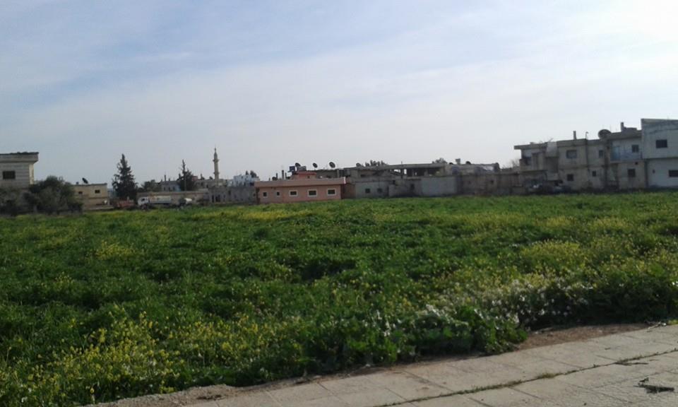 الأمن السوري يفرج عن طالبة فلسطينية بعد اعتقالها منذ 10 أيام