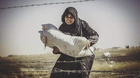 فلسطينيو سورية ‫‏إحصائيات وأرقام حتى /17/ تشرين الأول – أكتوبر/ 2016