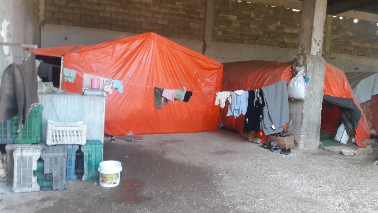 شاهد صور من داخل الشركة السورية الليبية للأبقار في درعا التي تقطنها عائلات سورية وفلسطينية 