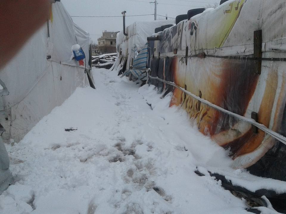 ظروف قاسية تعيشها (850) عائلة فلسطينية سورية في البقاع اللبناني 