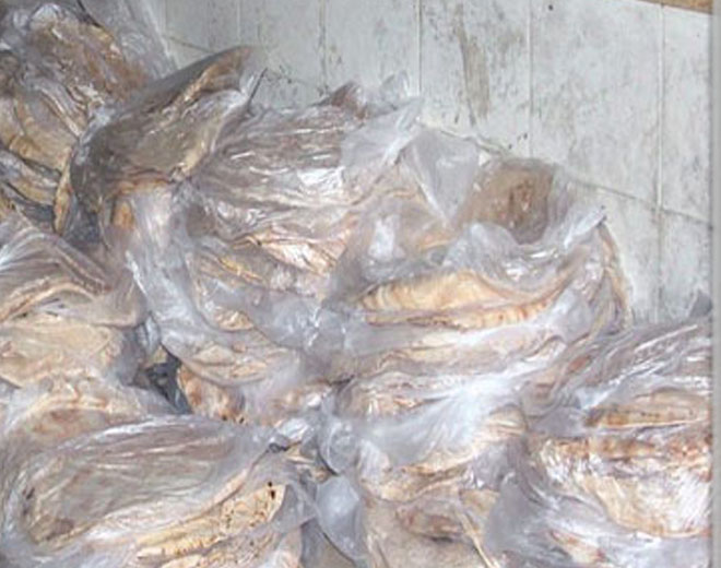 إدخال 600 ربطة خبز  للمدنيين المحاصرين في مخيم درعا جنوب سورية 