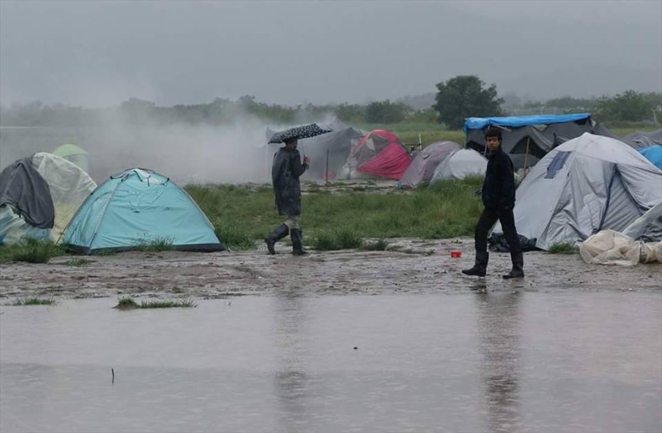 فلسطينيو سورية إحصائيات وأرقام حتى 28 آذار – مارس 2017