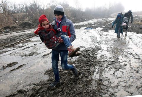 فلسطينيو سورية إحصائيات وأرقام حتى 4 أيار – مايو 2017