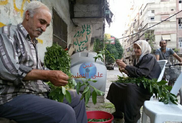 فلسطينيو سورية إحصائيات وأرقام حتى 1 آب – أغسطس 2017
