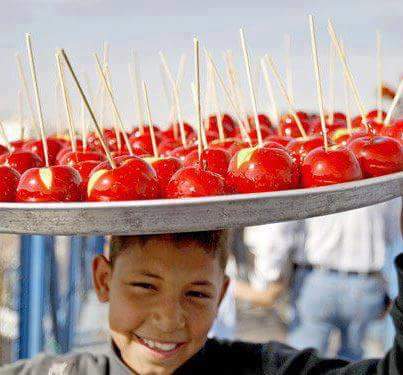 فلسطينيو سورية إحصائيات وأرقام حتى 24 آب– أغسطس 2017