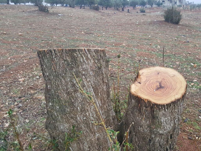 أهالي مخيم خان الشيح يطالبون بوضع حد لتجار الأزمات ومحاسبة تجار الحطب  