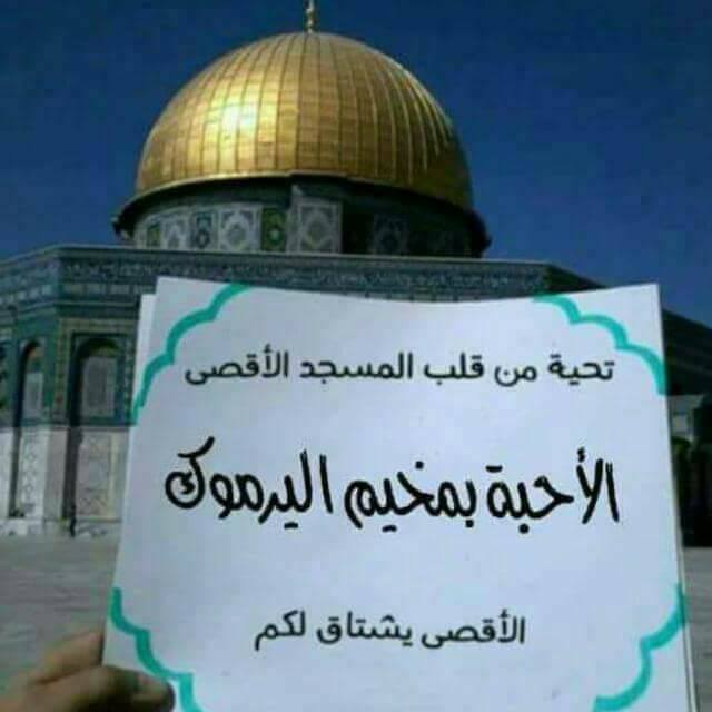 فلسطينيو سورية احصاءات وأرقام حتى 21 كانون الأول - ديسمبر 2017