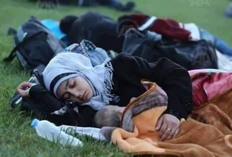 فلسطينيو سورية احصاءات وأرقام حتى 15 شباط/ فبراير  2018