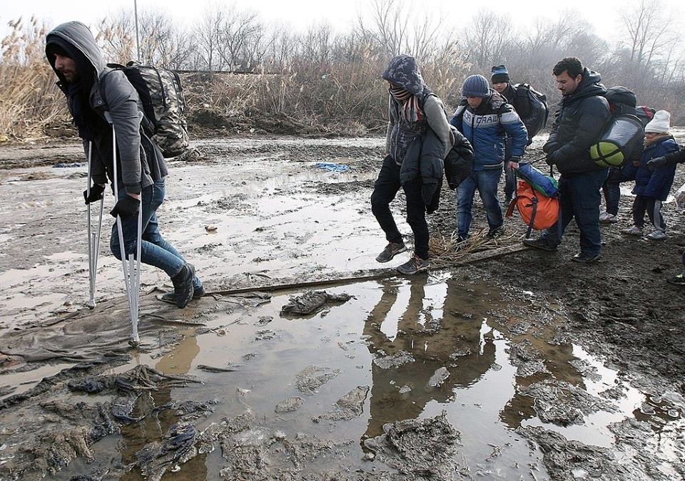 فلسطينيو سورية احصاءات وأرقام حتى 26 شباط/ فبراير  2018