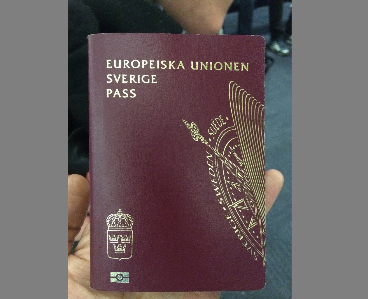 المزيد من اللاجئين الفلسطينيين السوريين يحصلون على الجنسيات السويدية والهولندية