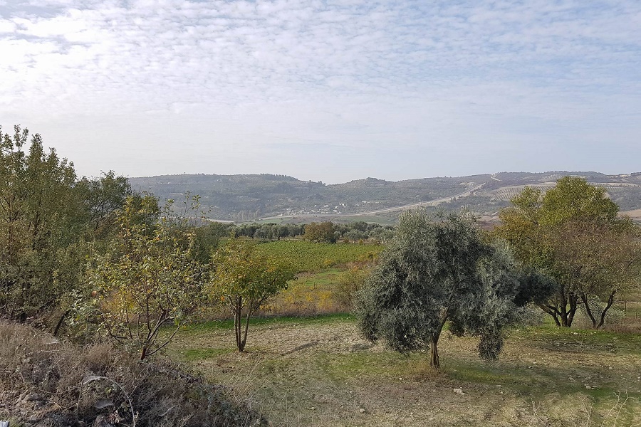 قضاء 4 فلسطينيين سوريين برصاص الجندرما التركية