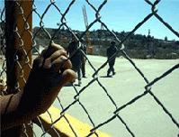 اعتقال ثلاثة أشقاء فلسطينيين من أبناء مخيم اليرموك 