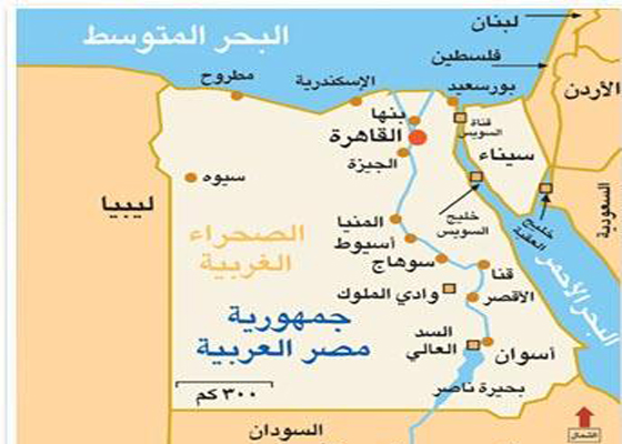 انخفاض عدد اللاجئين الفلسطينيين السوريين في مصر 