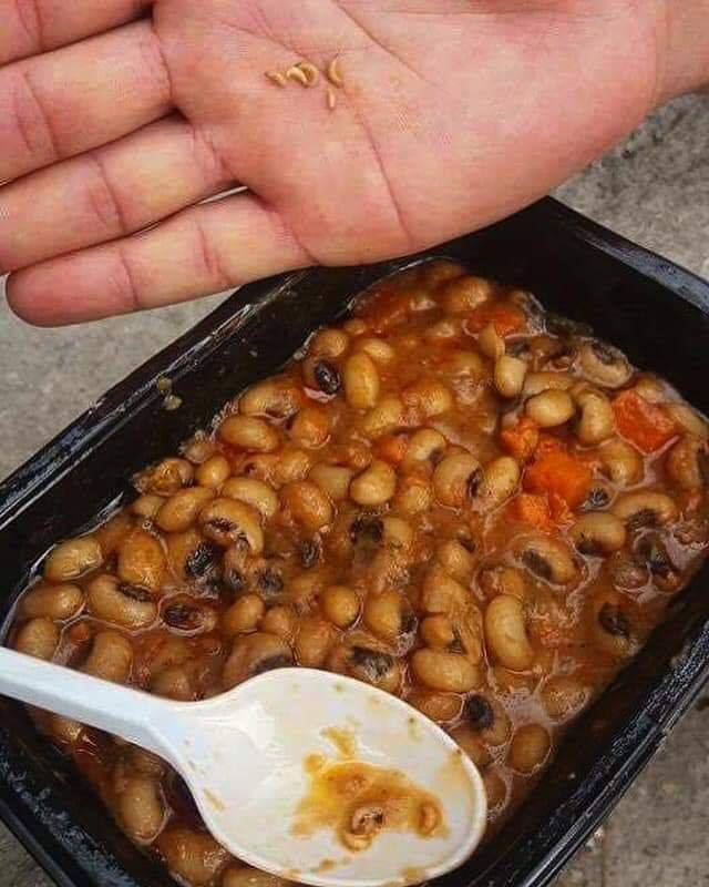 فلسطينيو سورية في ساموس اليونانية يشكون سوء الطعام وأوضاعهم الإنسانية القاسية 