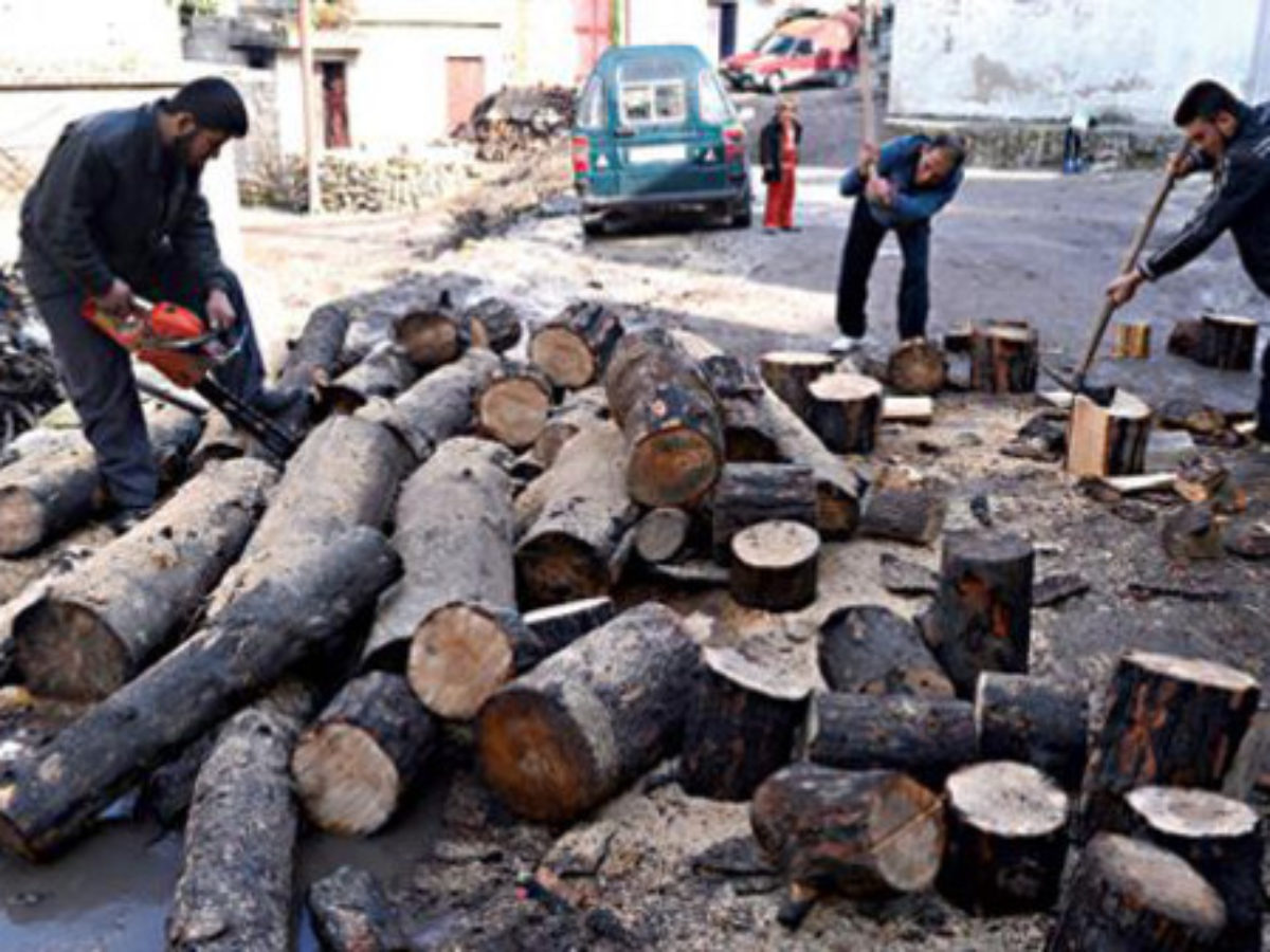 مع اقتراب الشتاء ارتفاع أسعار حطب التدفئة يزيد من معاناة اللاجئين