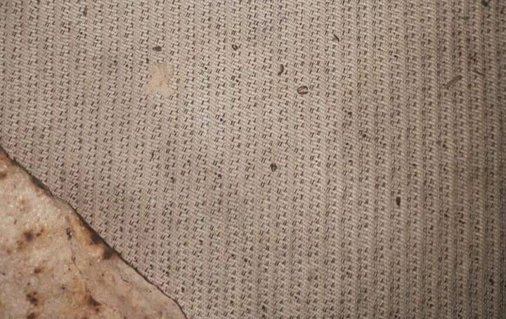 شكوى من رداءة نوعية الخبز في مخيم سبينة