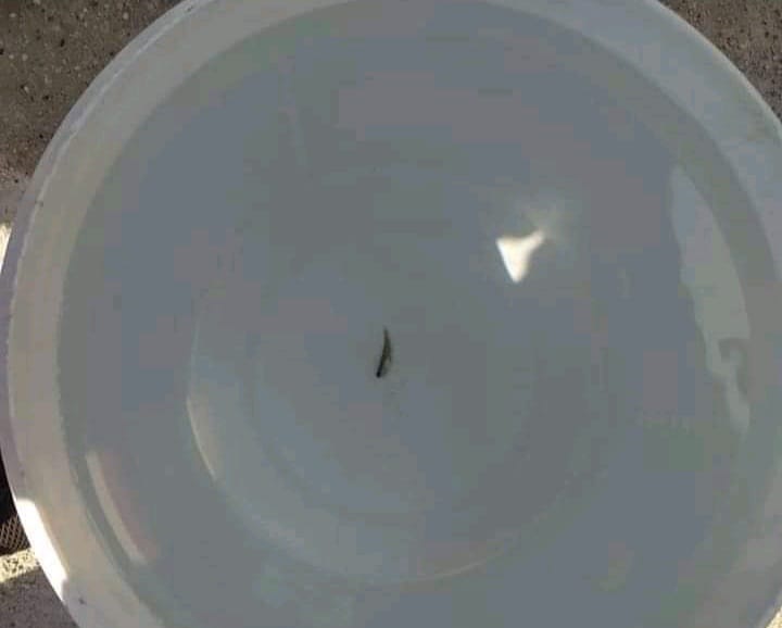 أهالي مخيم المحمدية ودير بلوط يتخوفون من تلوث مياه الشرب 