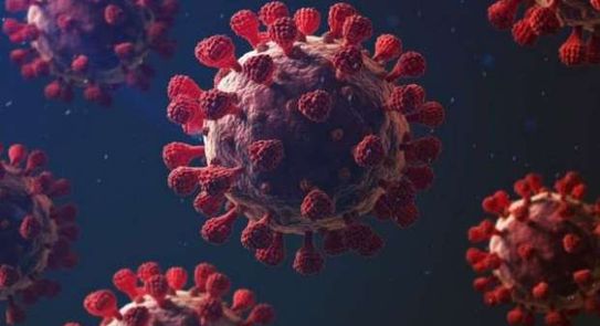 انتشار سريع لفايروس كورونا في مخيم خان الشيح 