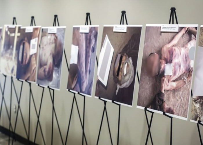 في اليوم الدولي للاعنف.. آلاف الفلسطينيين ضحايا انتهاكات جسدية جراء الحرب السورية