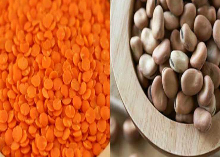 سوريا.. الأونروا تستبدل العدس بالفول لضمان استمرار توزيع مساعداتها 