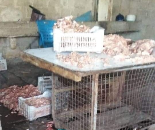 مخيم خان الشيح.. مخالفات بحق محال ومنشآت تجارية