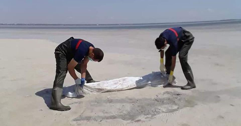 العثور على جثث مهاجرين قبالة السواحل التونسية دون تحديد هويتهم