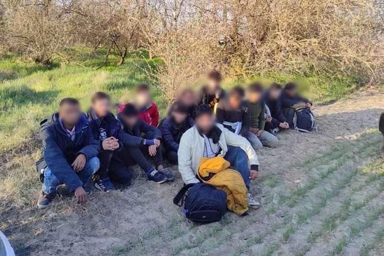 بينهم فلسطينيون. حرس الحدود الهنغاري يعيد إلى صربيا عشرات طالبي اللجوء