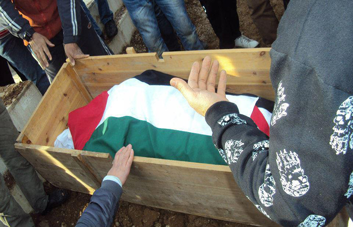 قضاء (4116) فلسطينياً منذ بداية الأحداث في سورية 