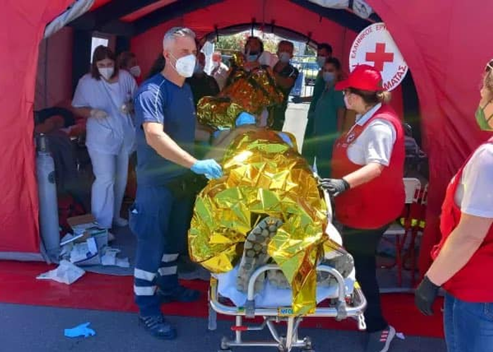 بينهم فلسطينيون. مصرع العشرات بعد غرق مركَب يقل مهاجرين في البحر المتوسط