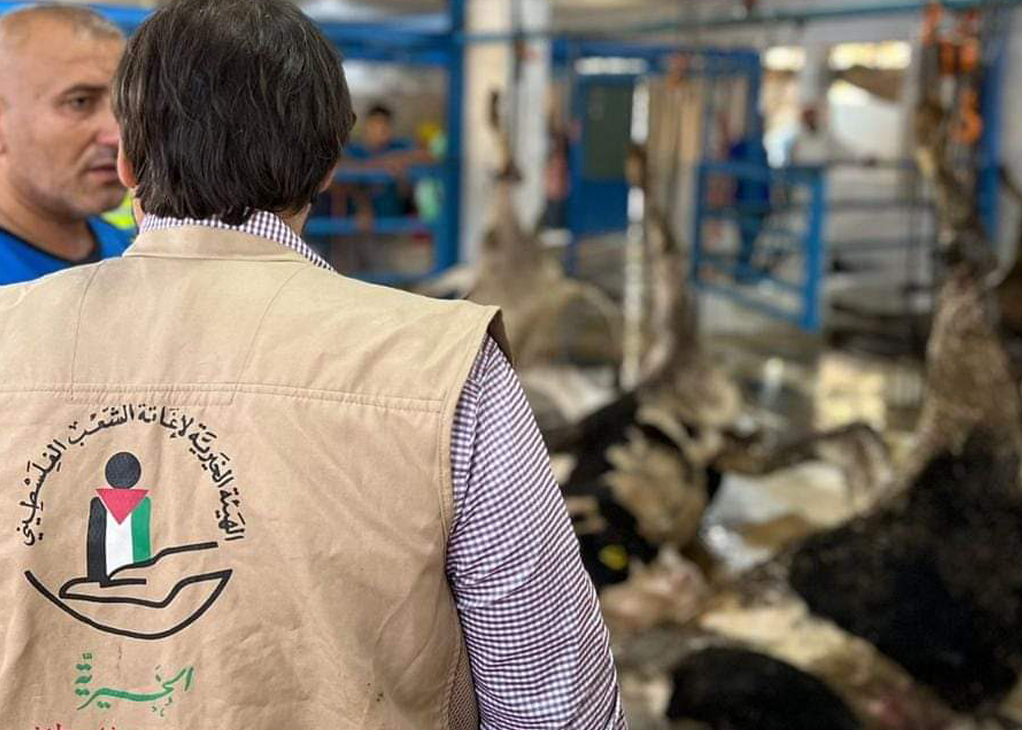 لبنان.. توزيع لحوم الأضاحي على العائلات الفلسطينية السورية 