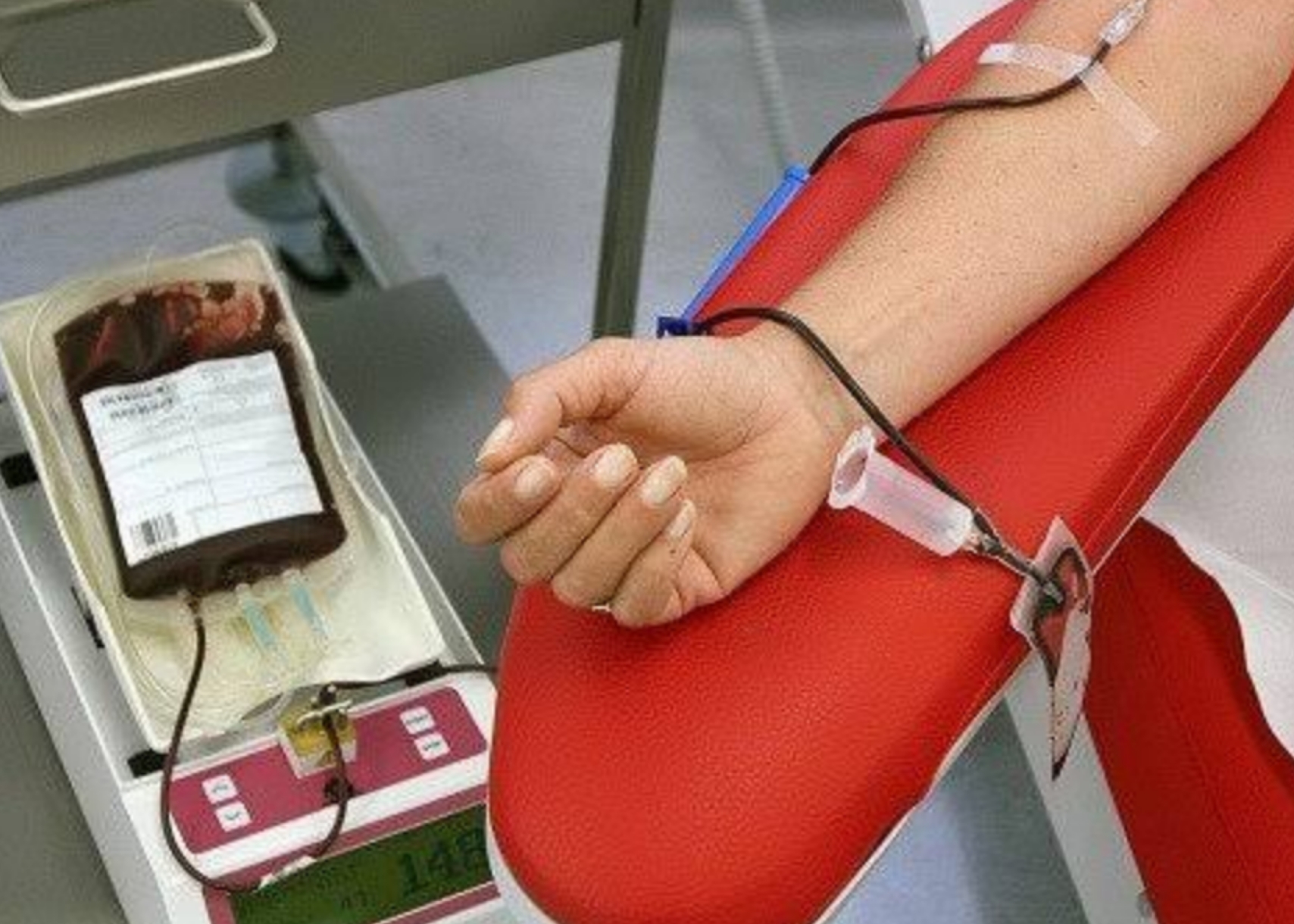 لاجئون فلسطينيون يتبرعون بالدم لمصابي قصف إدلب