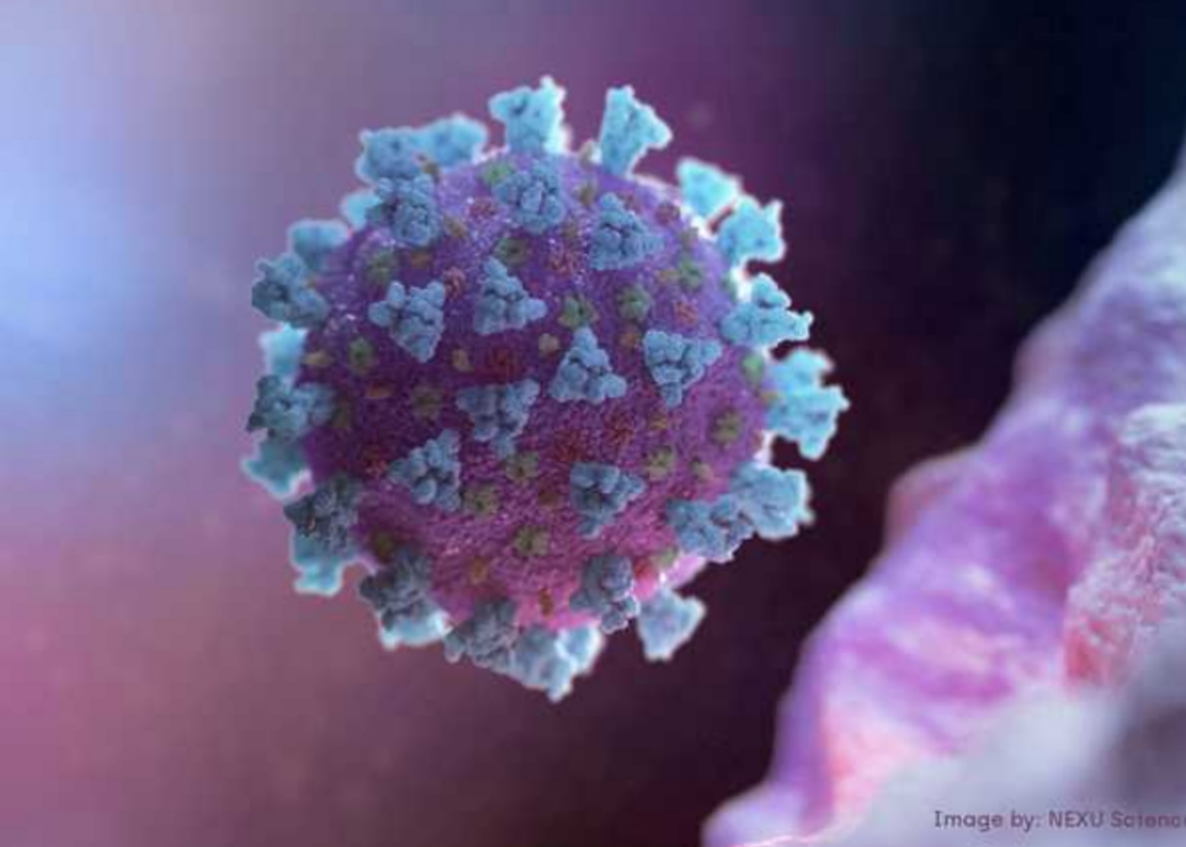 أطباء ونشطاء فلسطينيون يطلقون تحذيرات من متحور كورونا الجديد