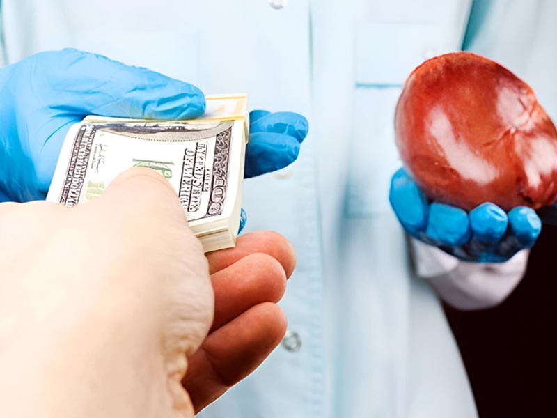 لبنان.. فلسطيني سوري يعرض كليته للبيع لتوفير نفقات علاج ابنته