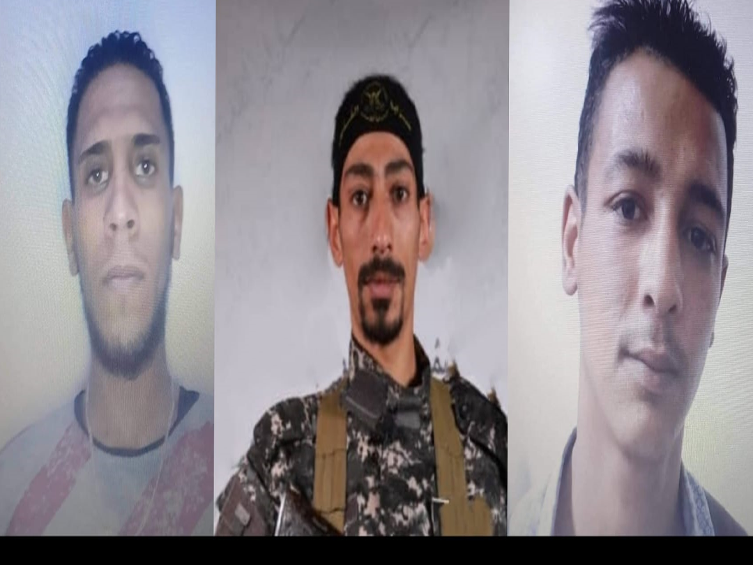 ارتقاء ثلاثة فلسطينيين من سوريا بقصف إسرائيلي على الحدود اللبنانية