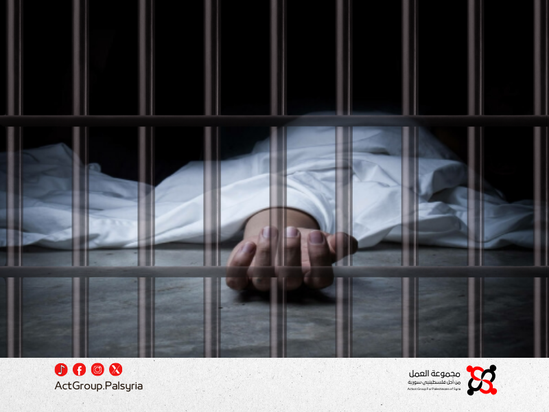 الحصاد الموجع. قضاء 570 امرأة واعتقال المئات في سجون النظام السابق