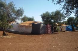 عائلات فلسطينية سورية عالقة في منطقة اعزاز شمال حلب تجدد مناشدتها 