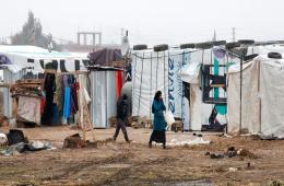 فلسطينيو سورية ‫‏إحصائيات وأرقام حتى /8/ آب – أغسطس / 2016