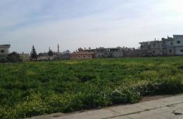 الأمن السوري يفرج عن طالبة فلسطينية بعد اعتقالها منذ 10 أيام