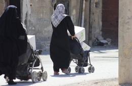 فلسطينيو سورية ‫‏إحصائيات وأرقام حتى /11/ تشرين الأول – أكتوبر/ 2016