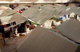 فلسطينيو سورية إحصائيات وأرقام حتى /5/ تشرين الثاني– نوفمبر/ 2016