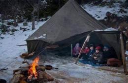 فلسطينيو سورية ‫‏إحصائيات وأرقام حتى / 3/ كانون الثاني– يناير/ 2017