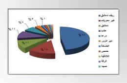 "311" فلسطينياً سورياً قضوا خلال عام  2016