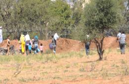  فلسطينيو سورية ‫إحصائيات وأرقام حتى 8/ كانون الثاني– يناير/ 2017‬