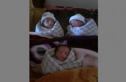 هيئة فلسطين الخيرية تساعد بتأمين حليب الأطفال لثلاثة  توائم في المزيريب