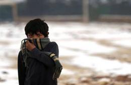 فلسطينيو سورية ‫‏إحصائيات وأرقام حتى / 9/ شباط – فبراير/ 2017