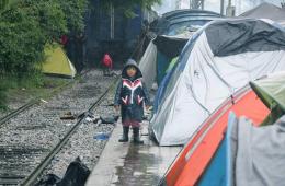 فلسطينيو سورية إحصائيات وأرقام حتى 8 أيار – مايو 2017