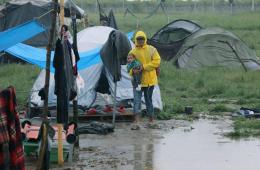 فلسطينيو سورية إحصائيات وأرقام حتى 25 أيار – مايو 2017