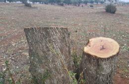 أهالي مخيم خان الشيح يطالبون بوضع حد لتجار الأزمات ومحاسبة تجار الحطب  