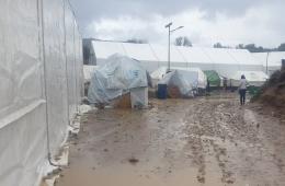 عمدة جزيرة ليسفوس يتهم الحكومة اليونانية والاتحاد الأوروبي بتحويل الجزر إلى "غوانتانامو أوروبي للاجئين"